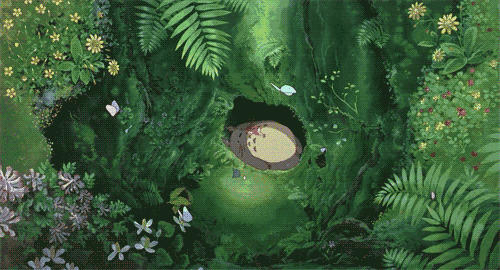 166508.gif