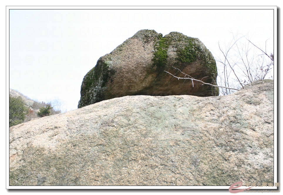 20150307 049.jpg