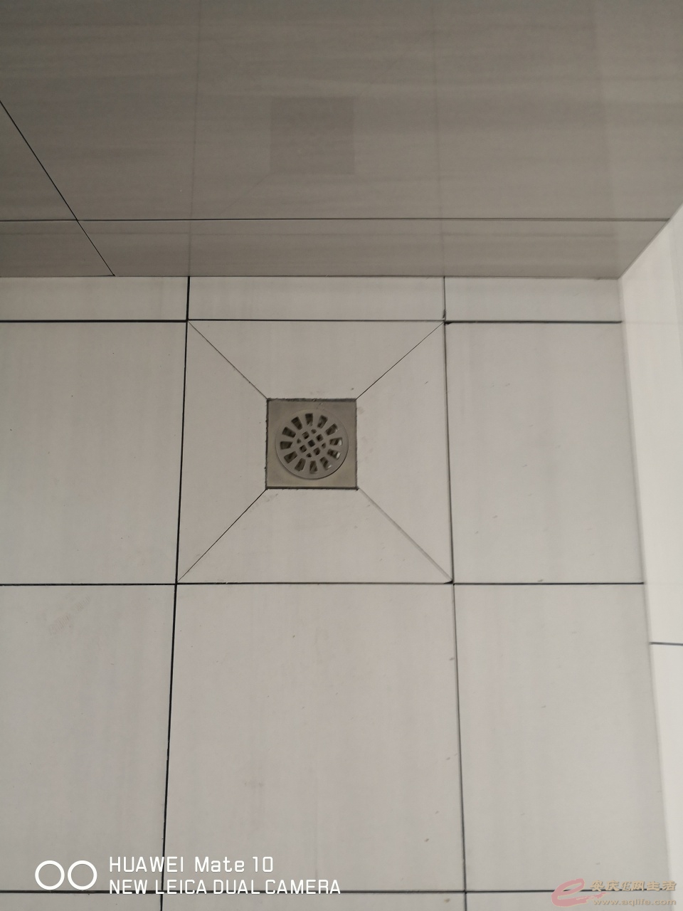 1576283554896327.jpeg