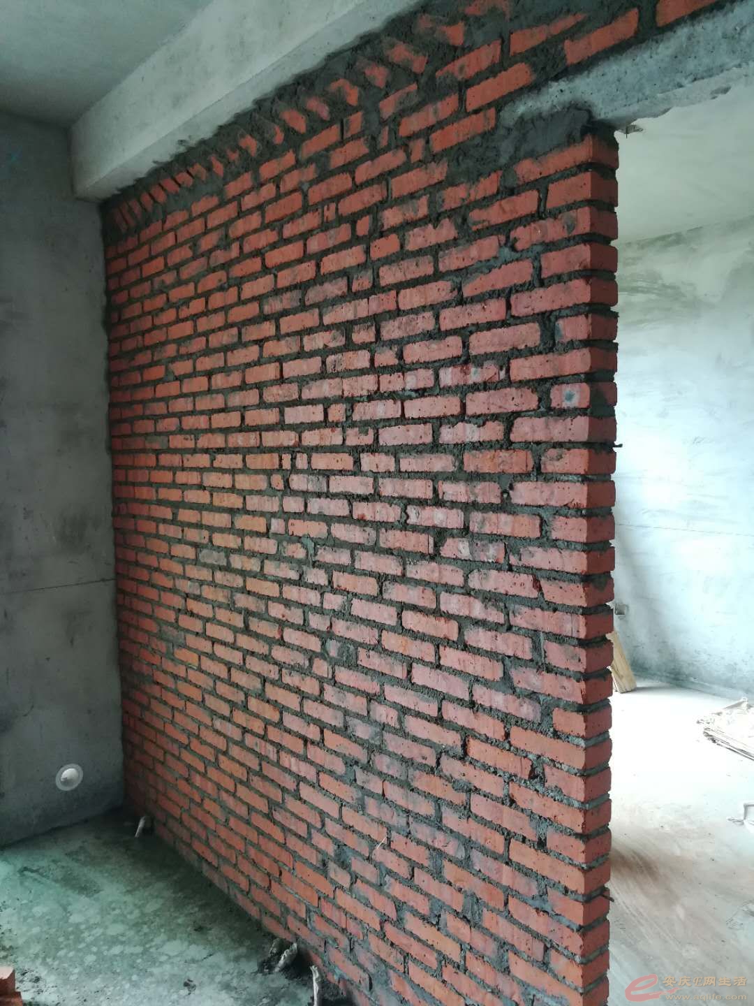 102.jpg