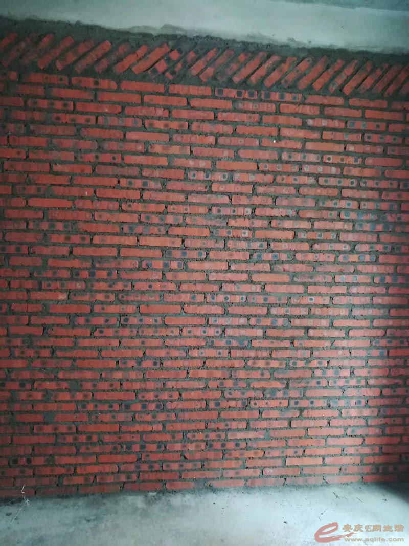 101.jpg