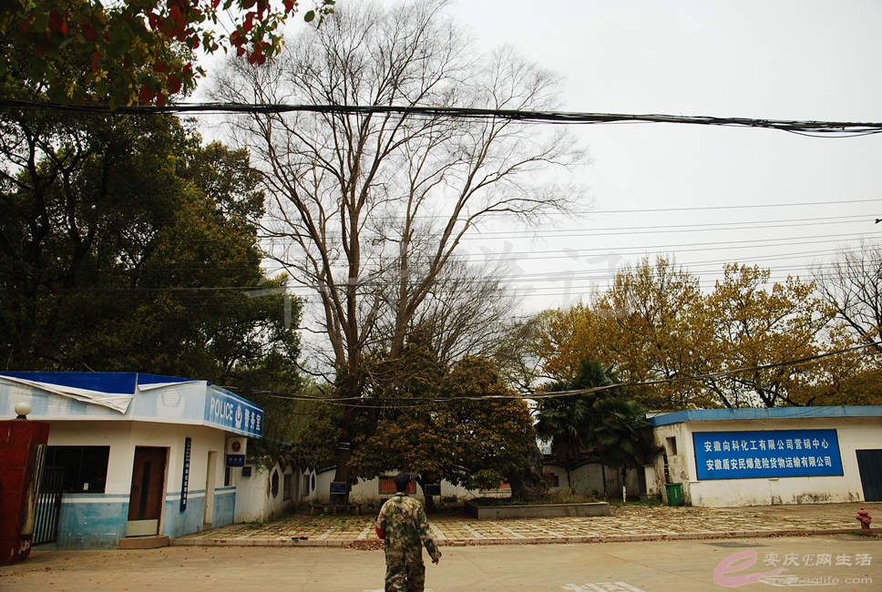 DSC_2761.jpg