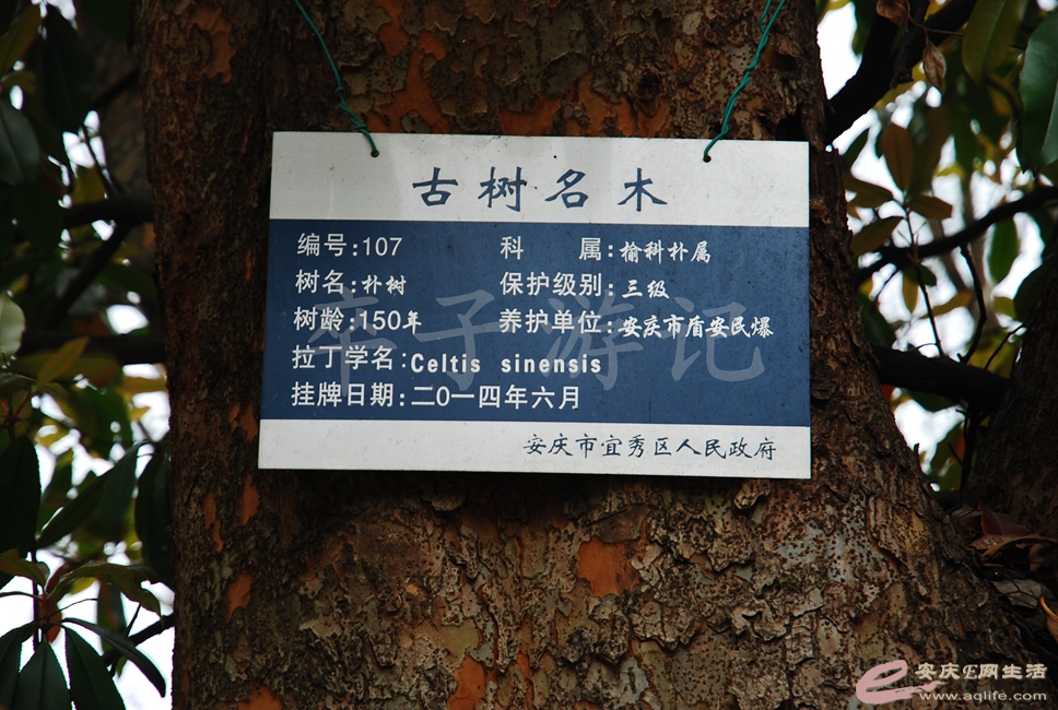 DSC_2782.jpg