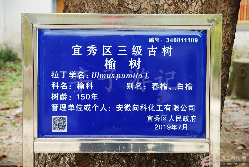 DSC_2783.jpg