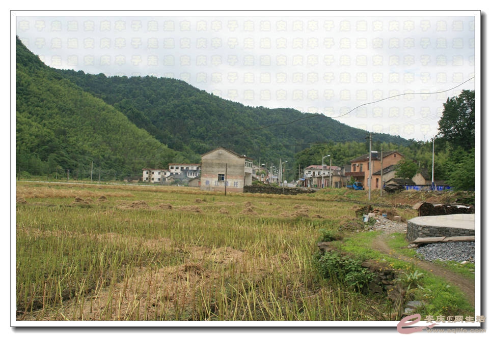 20150517 195.jpg