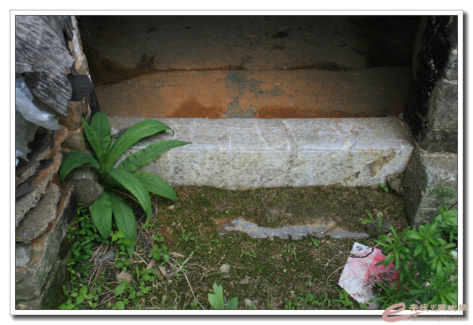 20150517 228.jpg