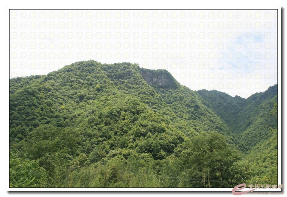 20150517 261.jpg