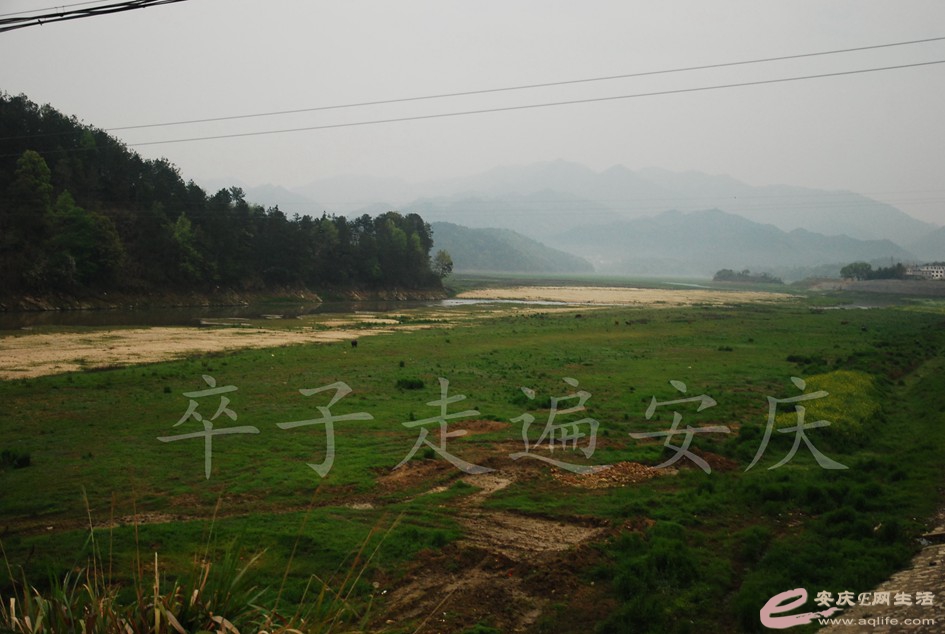 DSC_2991.jpg