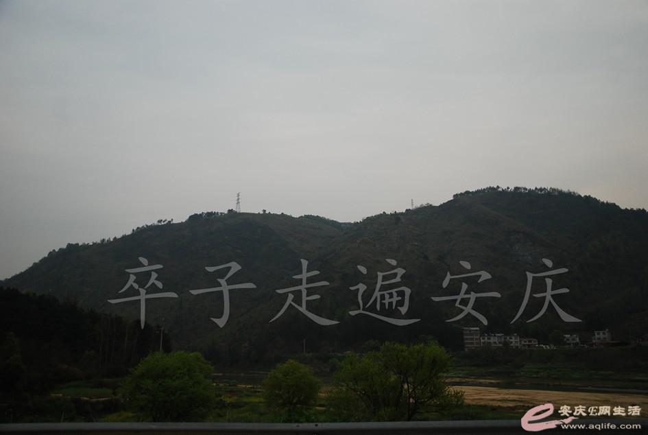 DSC_2993.jpg