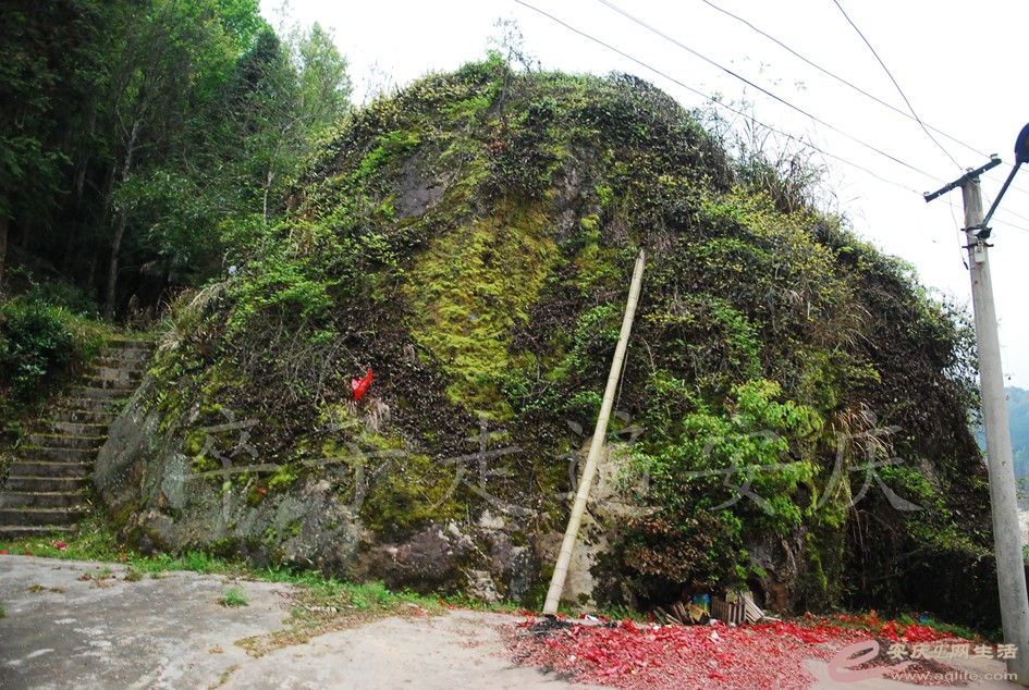 DSC_2994.jpg