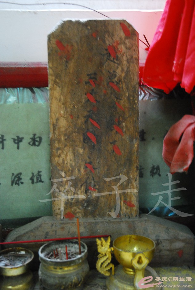 DSC_3013.jpg
