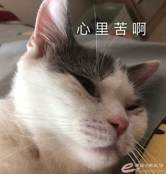 WeChat DƬ_20200514084724.jpg