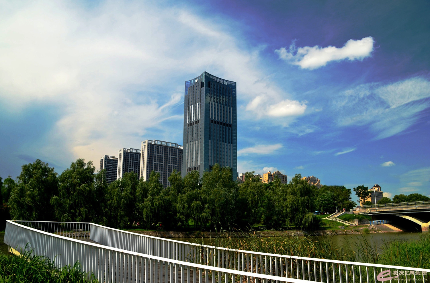 DSC_0022_ͼ.jpg