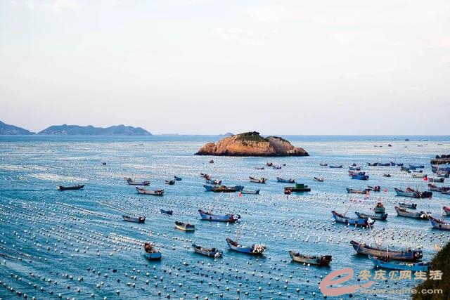WeChat DƬ_20200618142910.jpg