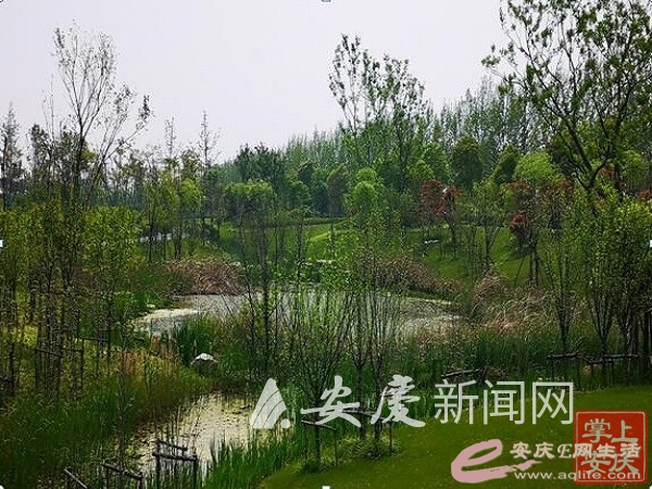 0125358446603288_new.jpg