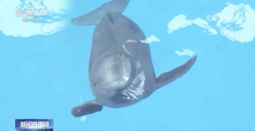 ug081640.gif