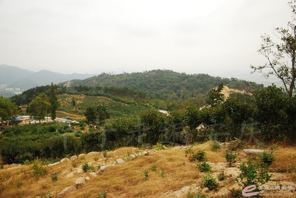 DSC_1410.jpg