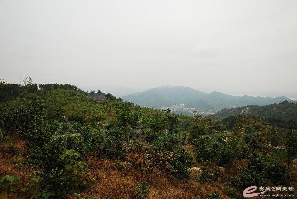 DSC_1416.jpg