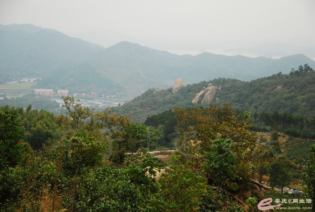 DSC_1418.jpg
