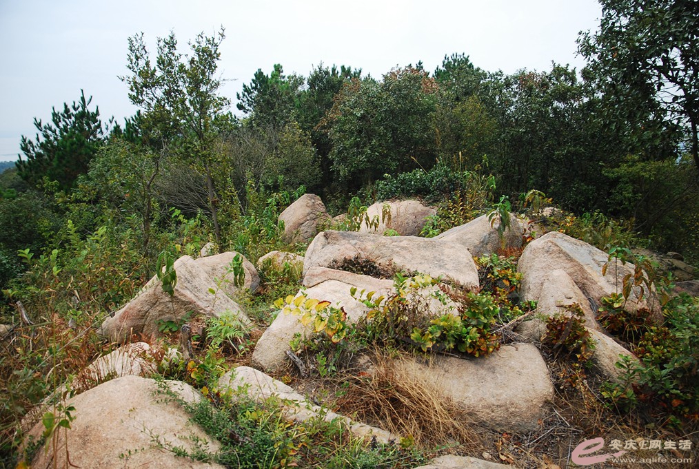 DSC_1479.jpg