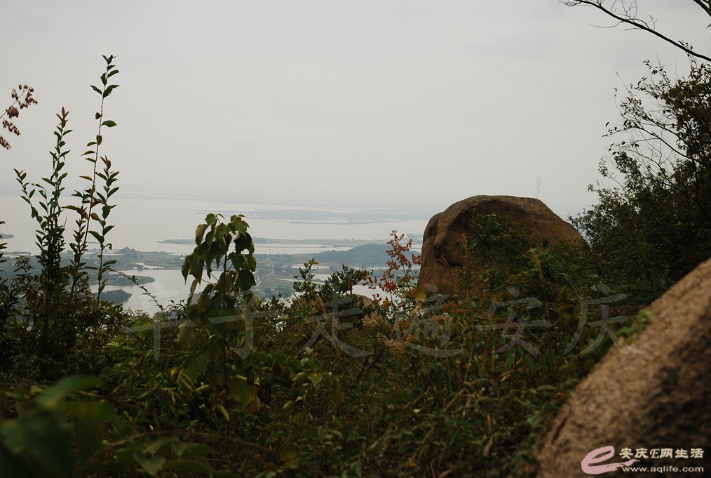 DSC_1495.jpg