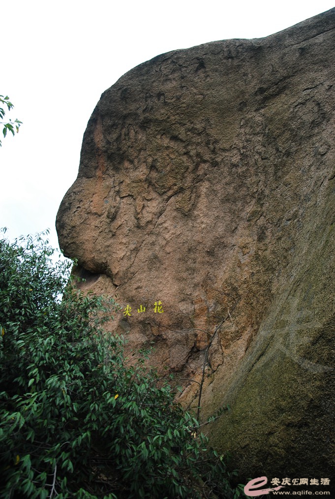 DSC_1499.jpg
