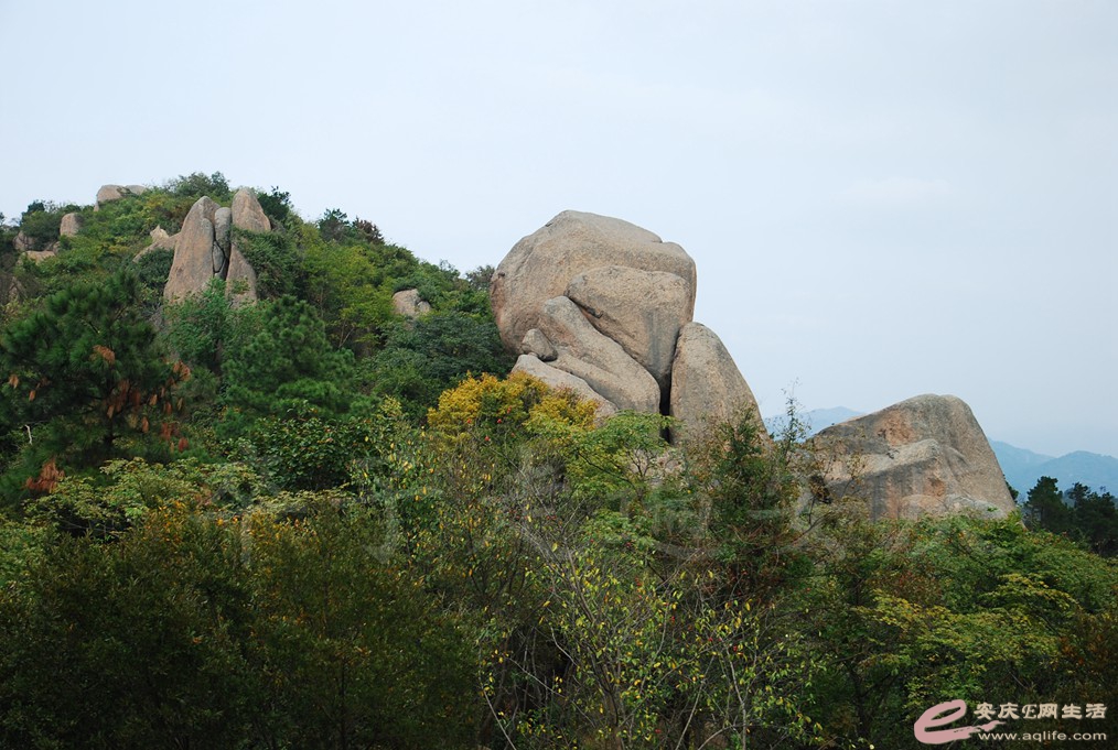 DSC_1510.jpg