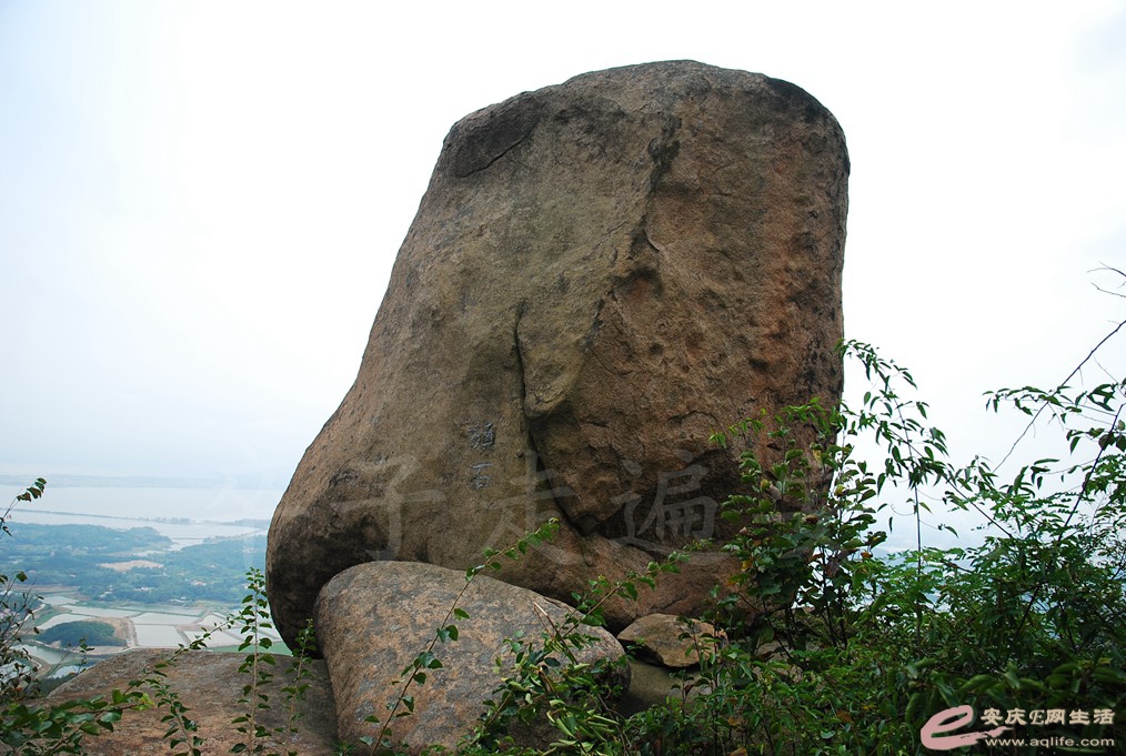 DSC_1523.jpg