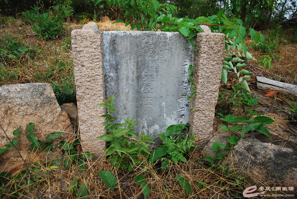 DSC_1603.jpg