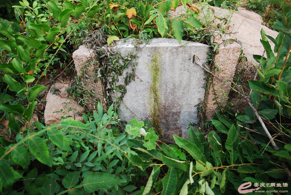 DSC_1617.jpg