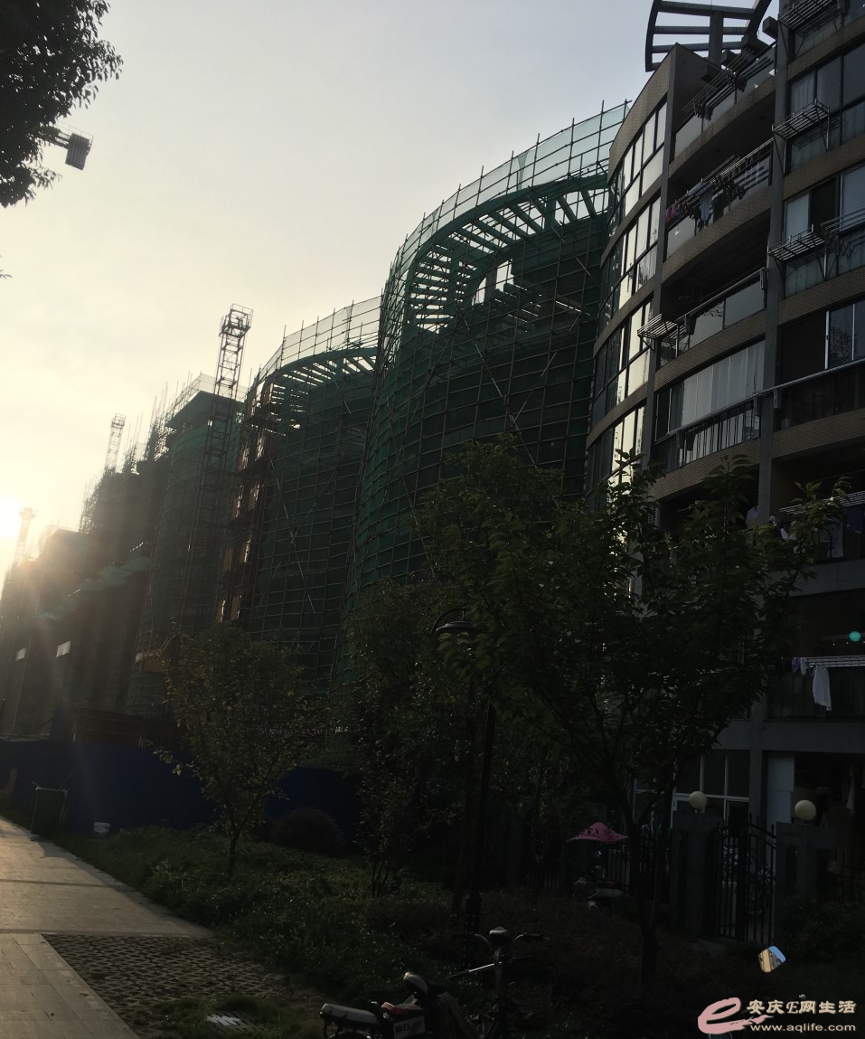 ע 2020-07-28 000741.jpg