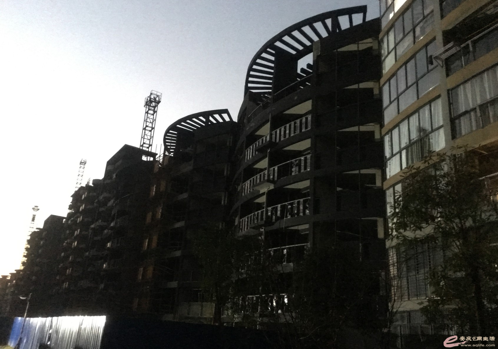 ע 2020-07-28 002204.jpg