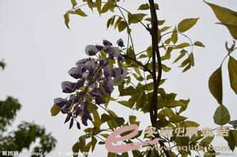 9345d688d43f8794672d74ffd61b0ef41ad53a14.jpg