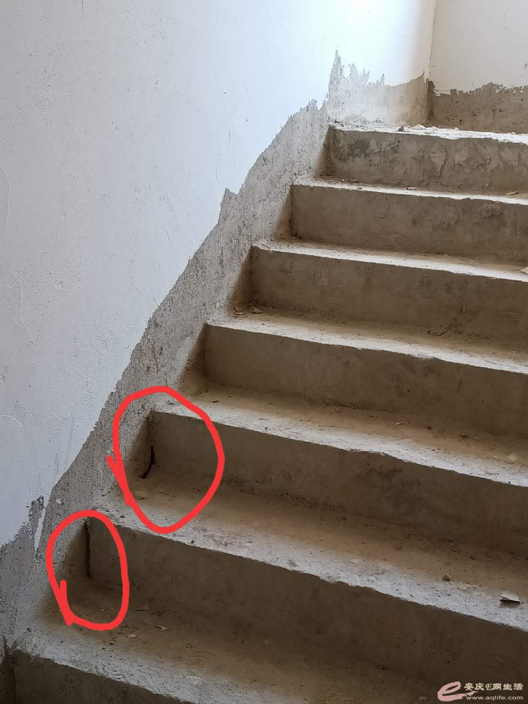 ¥̤ж