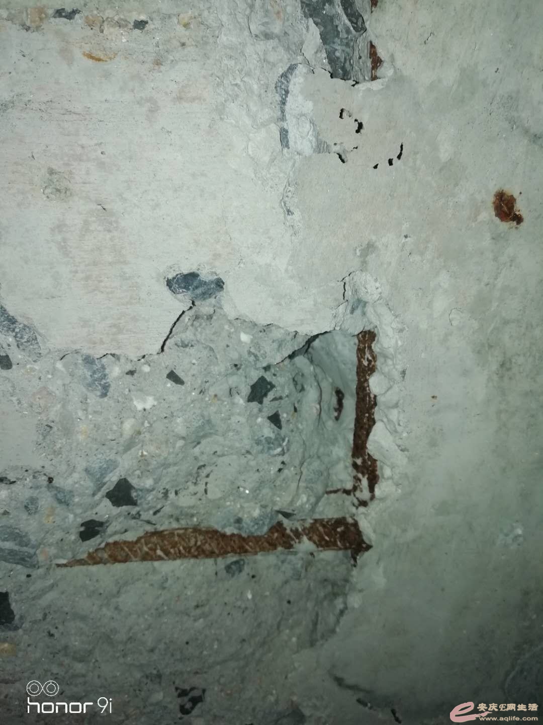 160127426480252.jpeg