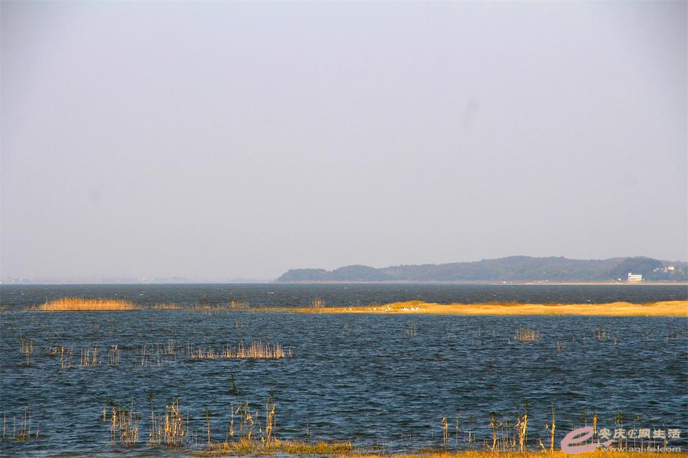 IMG_7210_ͼ.jpg