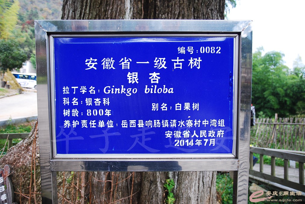 DSC_6128.jpg