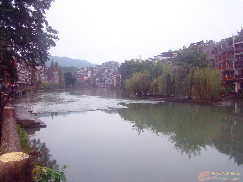 DSC09201_.jpg