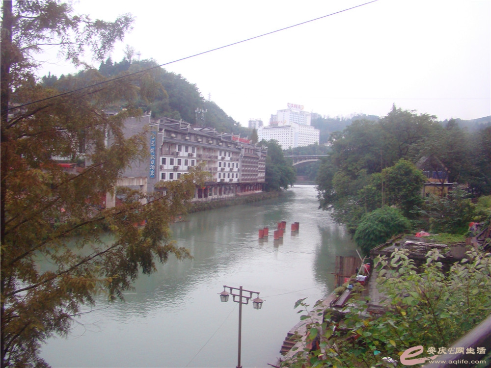 DSC09196_1.jpg