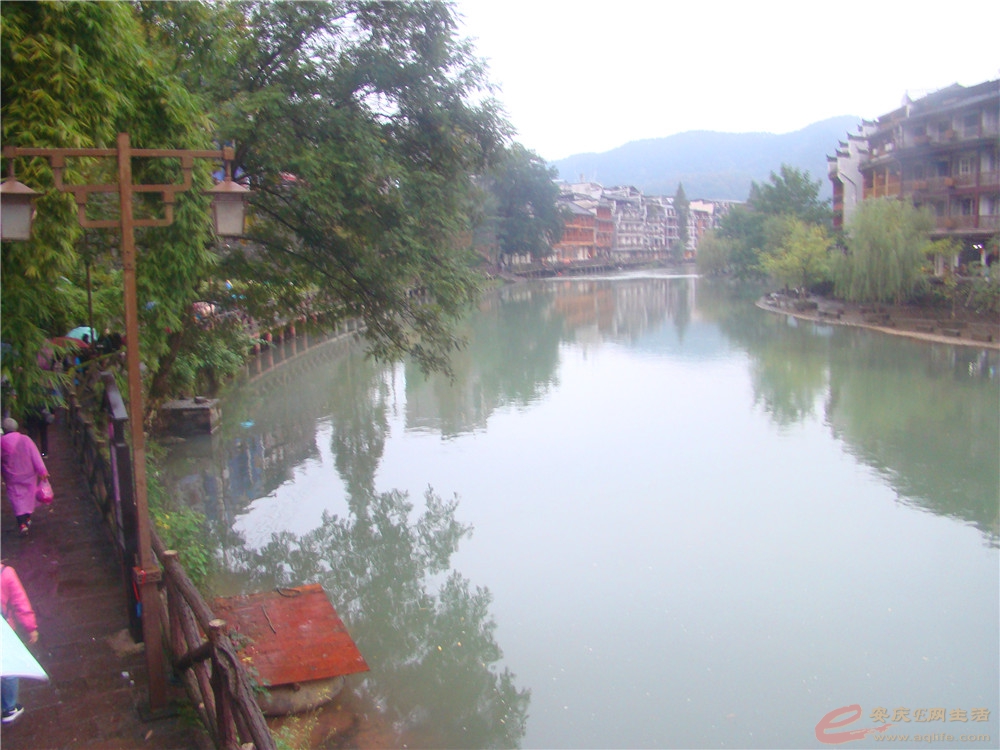 DSC09199_.jpg