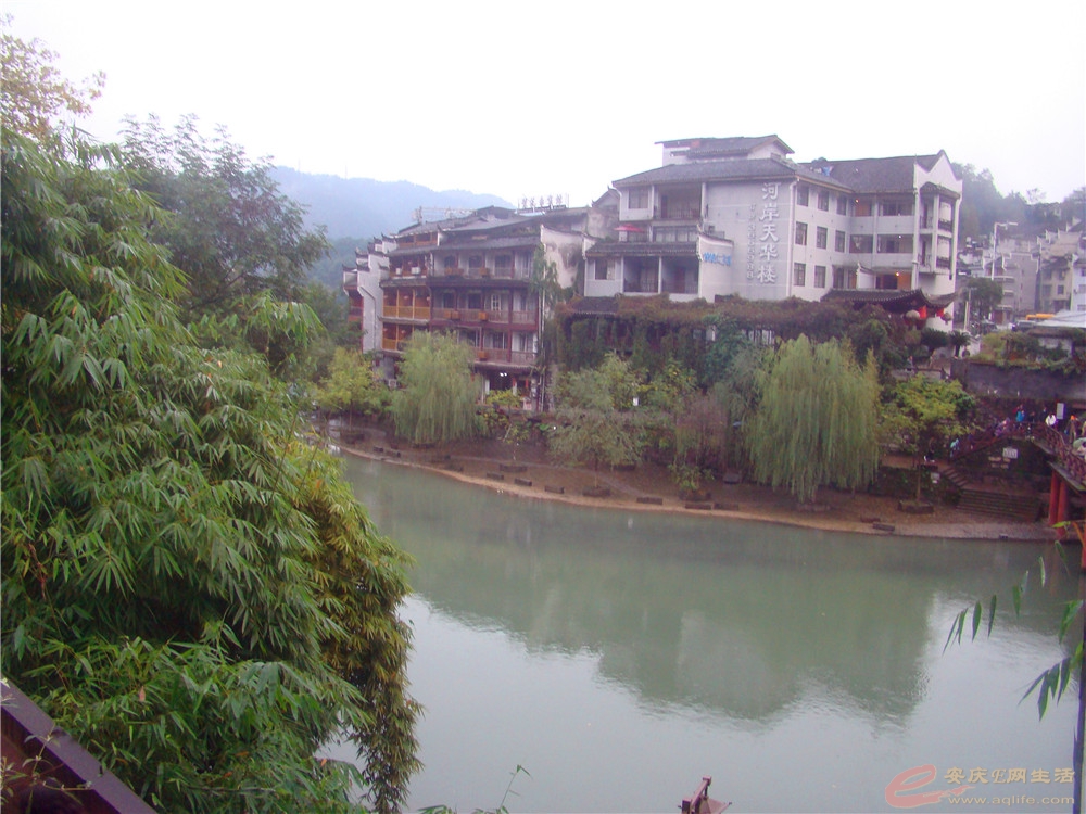 DSC09197_.jpg