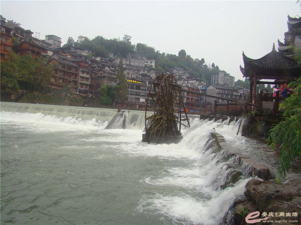 DSC09211_.jpg