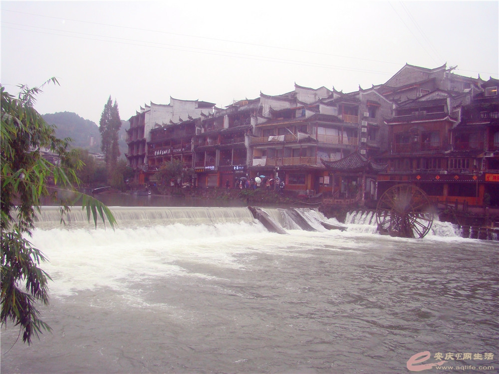 DSC09214_.jpg
