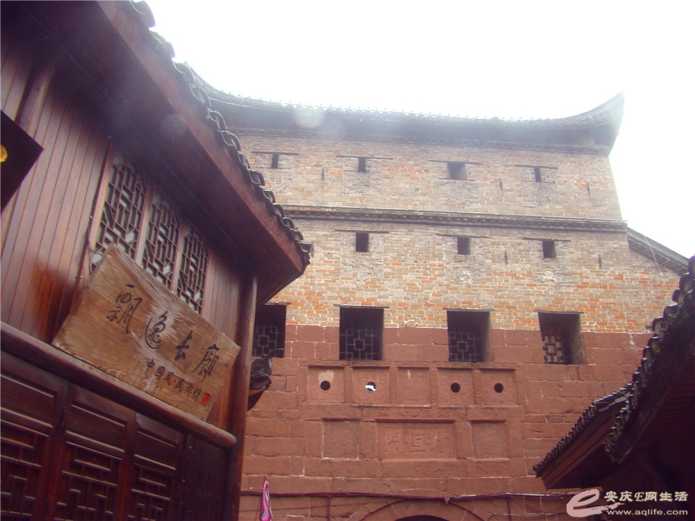 DSC09239_.jpg