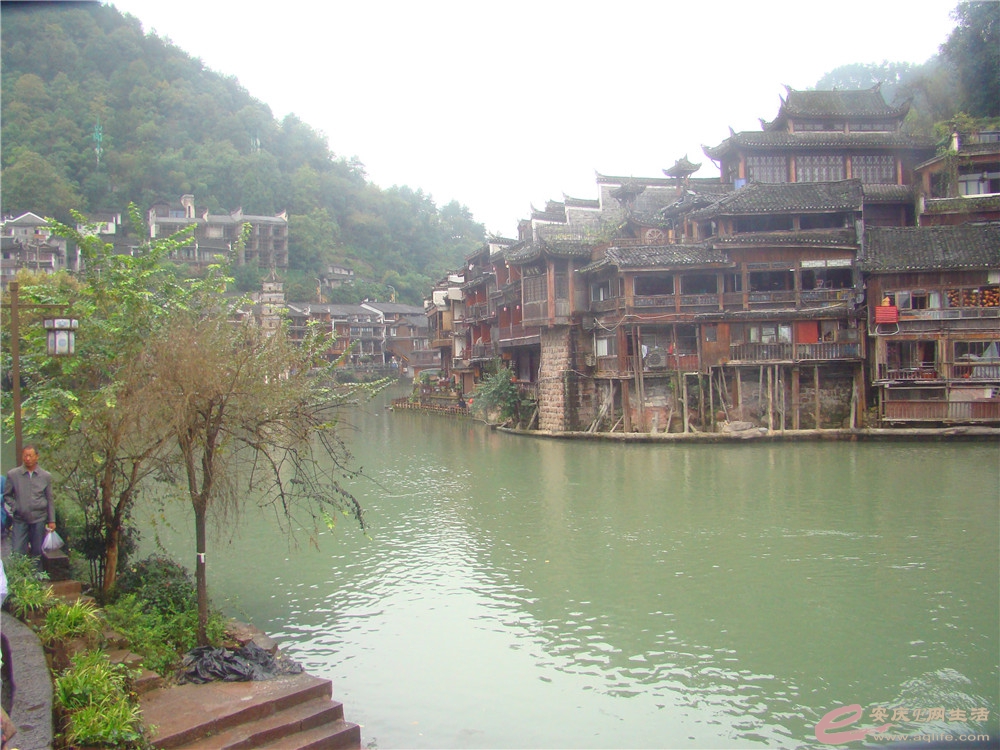 DSC09254_.jpg
