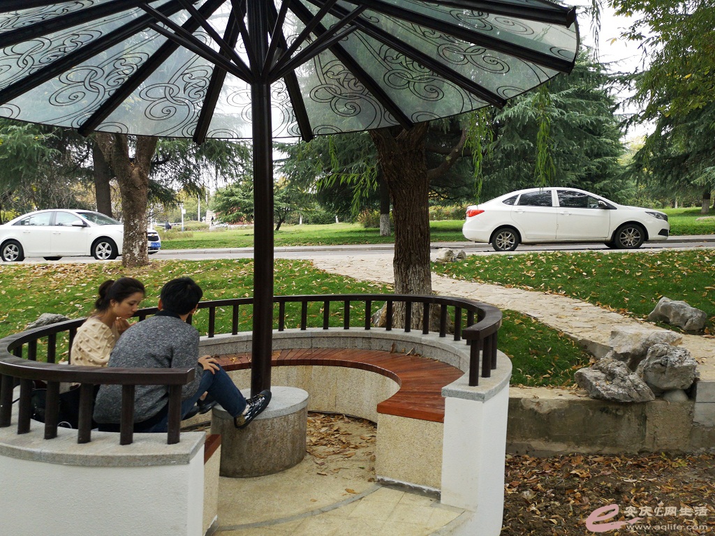 IMG_20201105_125814-01-01.jpeg