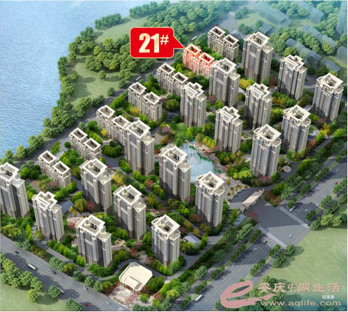 11.11 ÷񻶽ڣչ21#1114ѹǳ234.png