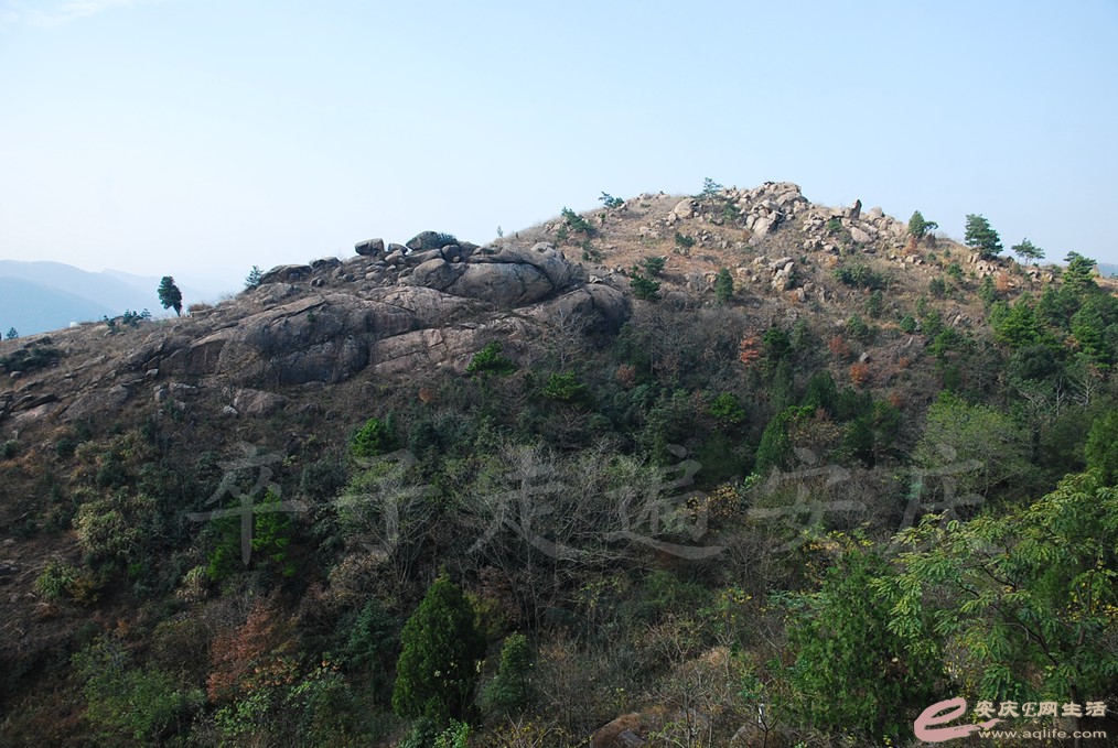 DSC_6663.jpg