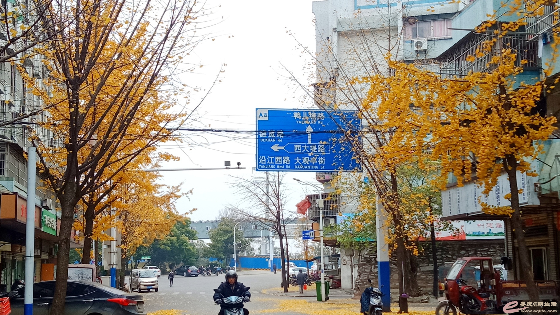 1607845111140134.jpeg