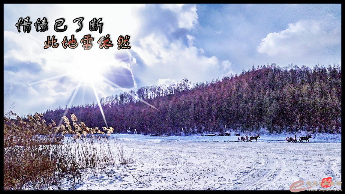 IMG_20201214_115525B.jpg